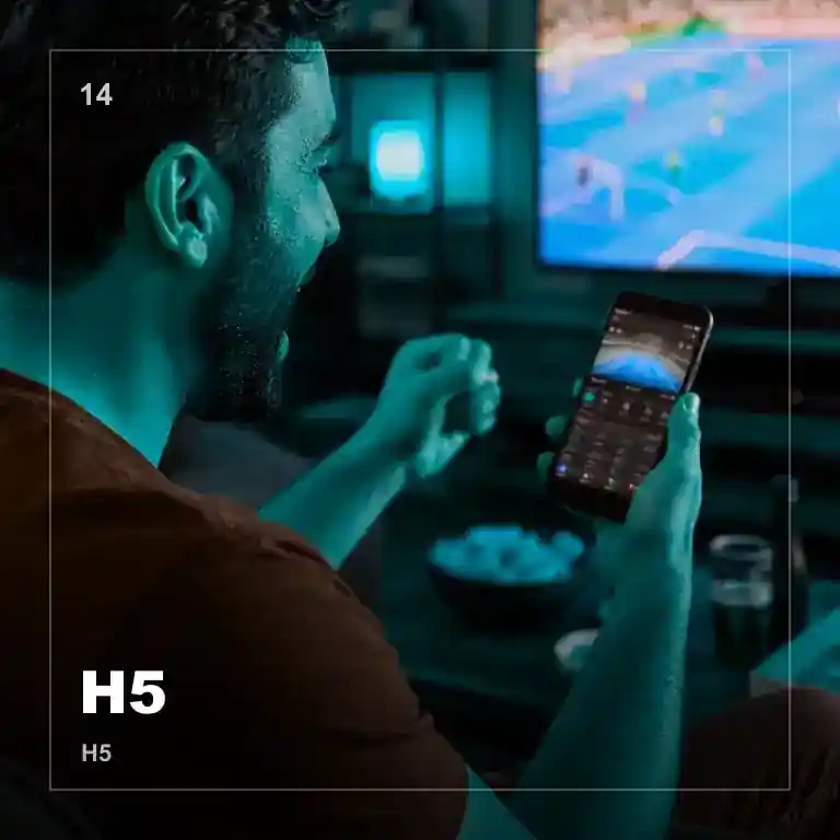 H5极速版截图